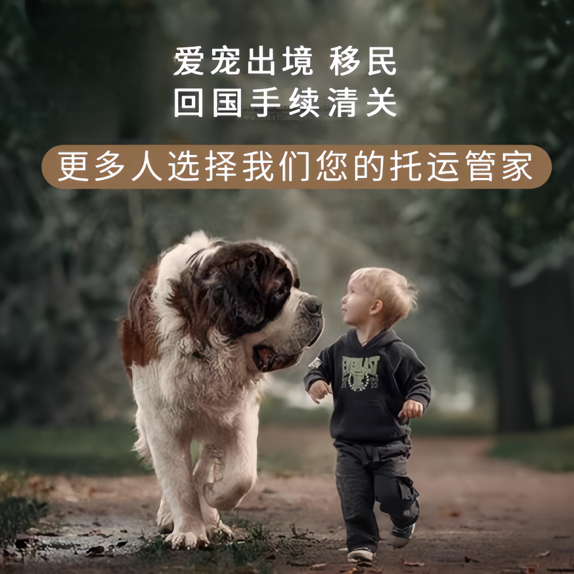 满财沈阳市宠物全球达宠物托运在遵守入境目的地政策的条件